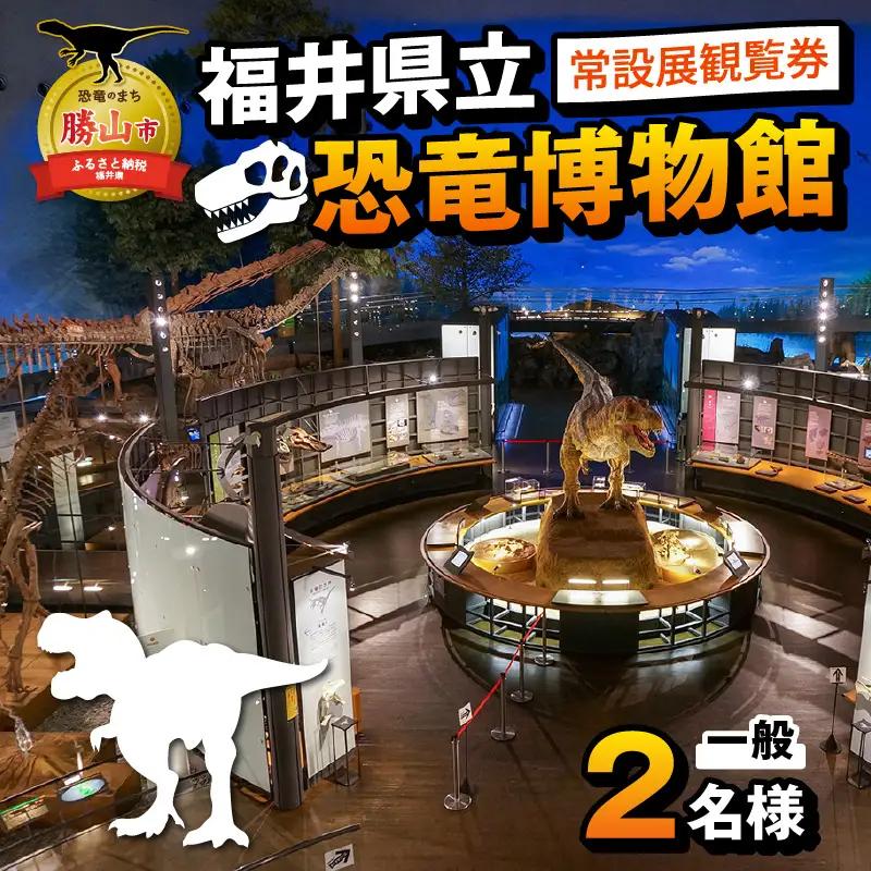 恐竜博物館 常設展 観覧券 一般2名 恐竜博物館