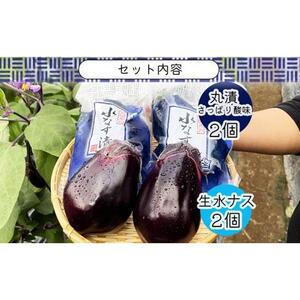 水なす丸漬酸味２個＋生水なす２個