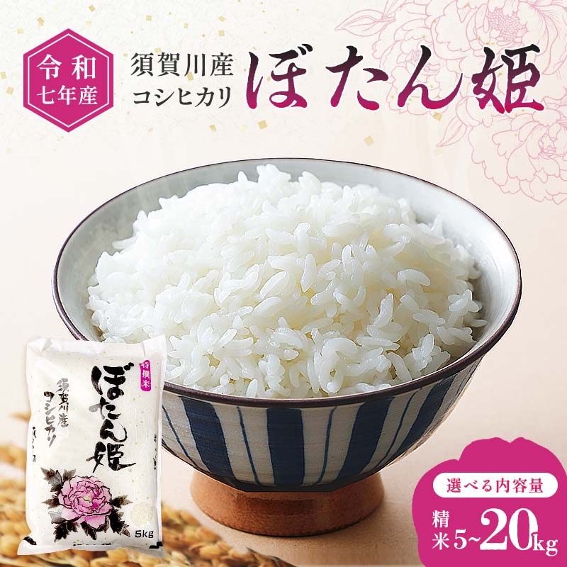 【ふるさと納税】《選べる容量》令和7年産 須賀川産コシヒカリ「ぼたん姫」精米 5kg 10kg 20kg ブランド米 お米 白米 人気 F7X-0651var