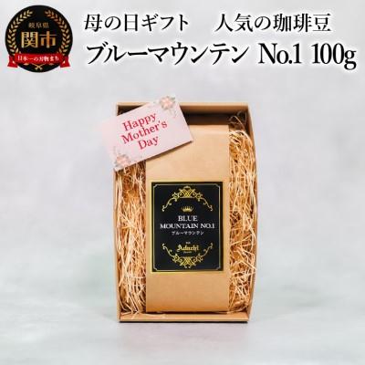 ふるさと納税 関市 2025年【母の日】＜限定15個＞ブルーマウンテンNo.1  最高グレード 100g (約10杯分)