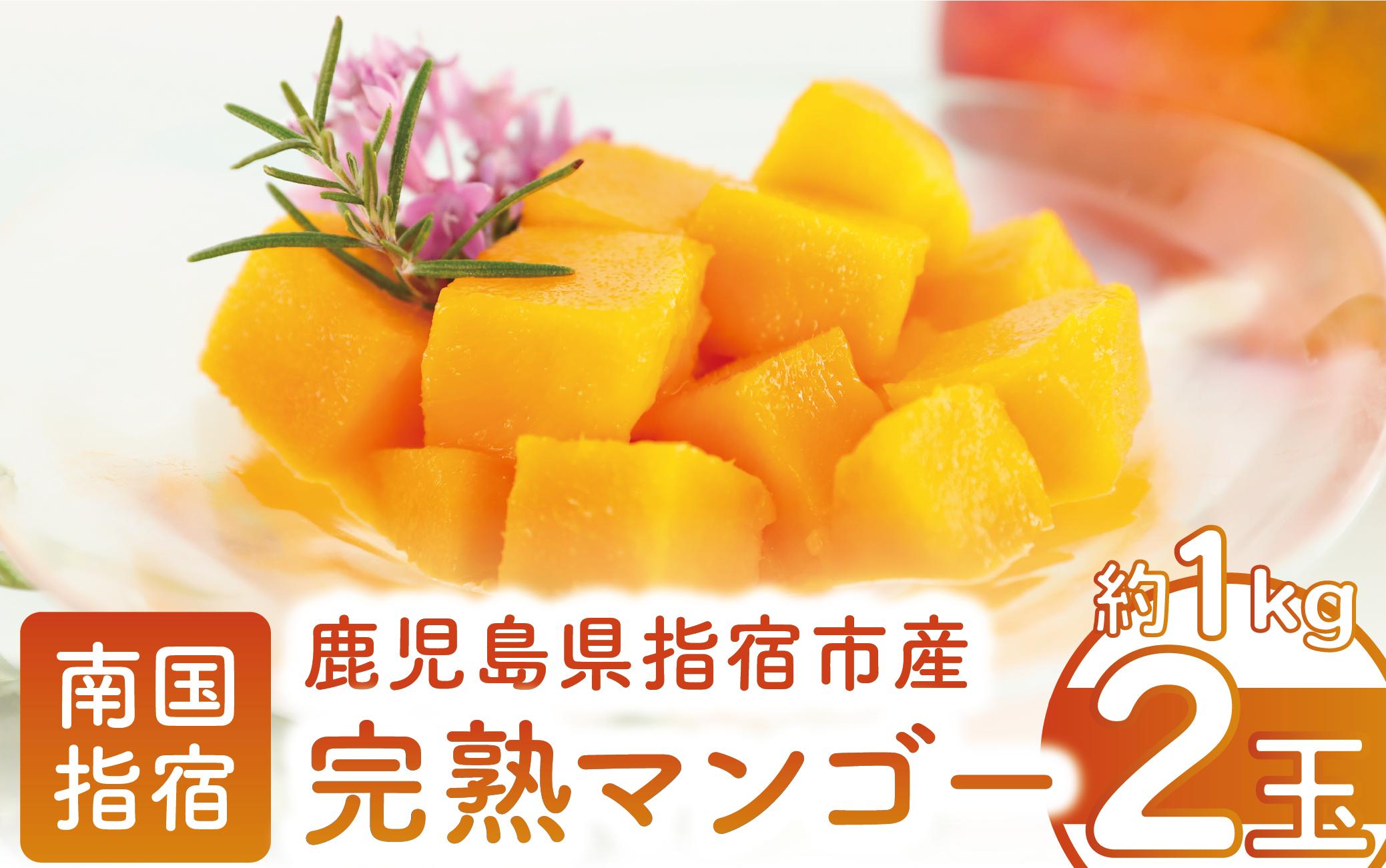 
            鹿児島県指宿市産 完熟マンゴー 2玉(約1kg)(花立山農業研究所/022-1781) マンゴー フルーツ 果物 夏 旬 果実 くだもの 鹿児島県産 国産 完熟 農家直送 産地直送 産直 トロピカル トロピカルフルーツ 南国 指宿 鹿児島
          