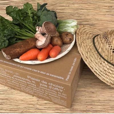 ふるさと納税 鹿嶋市 【発送月固定定期便】【ハーフサイズ】栽培期間中農薬不使用 身体が喜ぶ野菜(おまかせ6〜7品)全10回 |  | 02