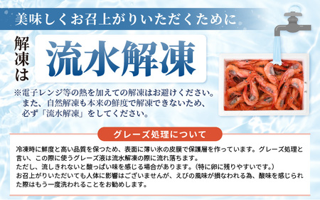 絶品甘えびを三国港からお届け！海の上で食べる甘海老の味！漁船直送船内瞬間冷凍 甘えび 約1.1kg（550g×２）【海老 えび エビ アマエビ あまえび 甘海老 赤エビ アカエビ あかえび ホッコクア