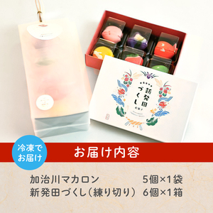 マカロン＆練切り しばたピクニック＆おみやげセット 【 マカロン 練り切り 和菓子 洋菓子 セット sinpo001 】