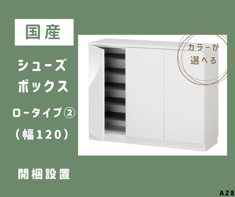 【ふるさと納税】AZ8　国産 シューズボックス（ロータイプ・2）※開梱設置　【 シューズ ボックス 靴箱 サイズオーダー セミオーダー 日本製 家具 収納家具 現地組立て 棚 】