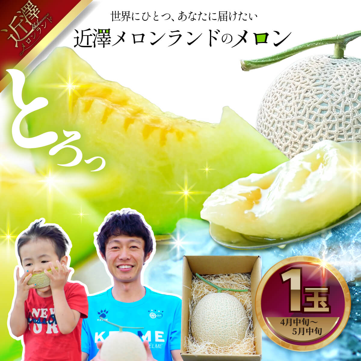 【ふるさと納税】先行予約 メロン 1玉入（約1.4kg～1.8kg）青肉 2026年春発送 期間限定 メロン めろん マスクメロン 舐瓜 果物 くだもの フルーツ デザート 旬 ハウス栽培 常温配送 故郷納税 ふるさとのうぜい 高知県産 国産 土佐市 返礼品 ランキング 人気
