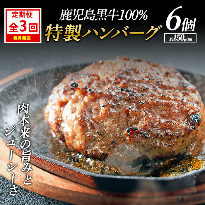 【ふるさと納税】＜定期便：毎月発送全3回＞鹿児島黒牛特選ハンバーグ (計約900g・約150g×6個) 国産 鹿児島 ハンバーグ 冷凍 セット 詰め合わせ 惣菜 肉 黒牛 牛肉 加工品 小分け 簡単調理 おかず 【nixy中山亭】chuzan-1511