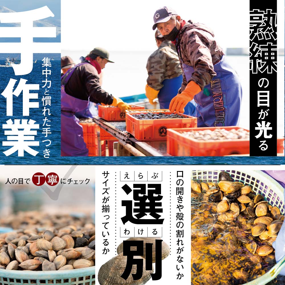 北海道　道東産 アサリ中 6kg (冷凍)　約 300g ×20 袋【計約6kg】【SS0000018】_イメージ3