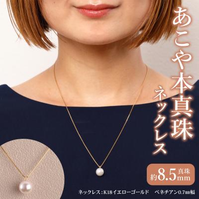 ふるさと納税 大分市 K18　あこや本真珠　パールネックレス　1珠　真珠8.5mm　イエローゴールド_T04001