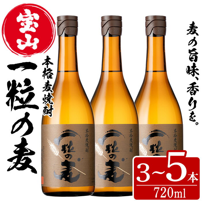 一粒の麦(720ml×5本)焼酎 麦焼酎 酒 アルコール 麦 家飲み 宅飲み 大麦 大麦麹 セット 常温 常温保存【西酒造】
