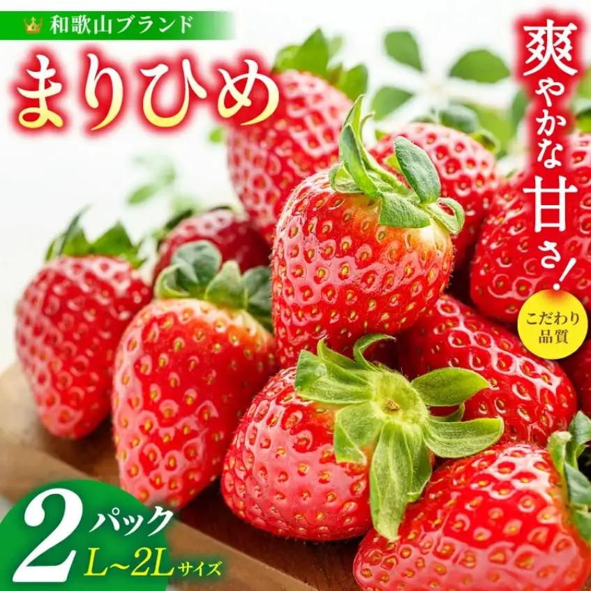 まりひめ イチゴ L～２L 12粒～15粒×2パック【2027年1月中旬～3月下旬頃に順次発送】【BK007-kgr007B】