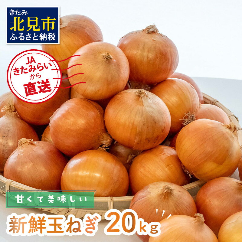 【ふるさと納税】JAきたみらいから直送する甘くて美味しい新鮮玉ねぎ 20kg Lサイズ以上（ ふるさと納税 たまねぎ ふるさと納税 野菜 北海道 玉葱 秋 旬）