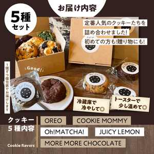 定番人気クッキー5種セット  クッキー 焼菓子 洋菓子 チョコレート 抹茶 バニラ オレオ レモン ホワイトチョコ キャラメル イチゴ パイン 奈良県 生駒市 送料無料