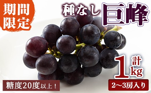 
                  ＜先行予約受付中！2026年7月中旬以降順次発送＞  種なし巨峰1kg［2～3房入り］ 巨峰 ぶどう ブドウ 葡萄 フルーツ 果物 くだもの デザート 種なし 【奥久慈 まほろばの郷 ふれあい農園】【ho1522】
                