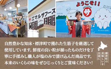 【令和7年新物】塩いくら120g【配送不可地域：離島】【1693868】