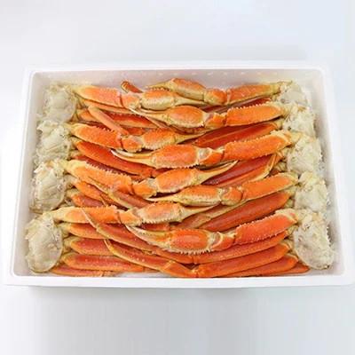 ふるさと納税 阪南市 ボイルずわい蟹 4Lサイズ 3kg(7〜9肩)【お中元・お盆にもオススメ】