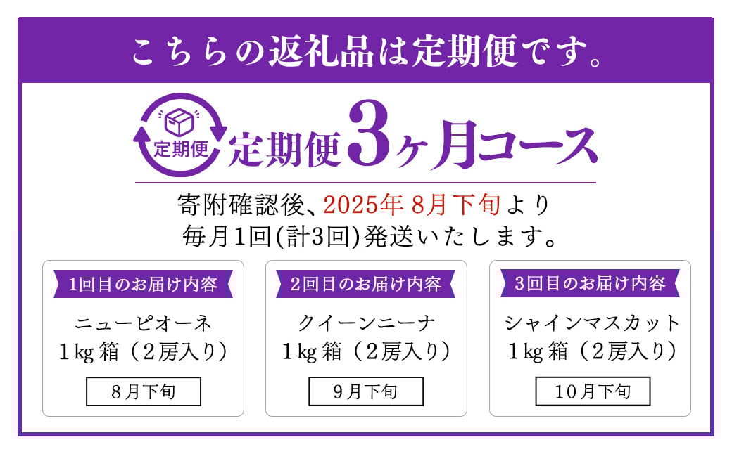 【定期便3回】 ［種なし］ 岡山県産 ニューピオーネ ・ クイーンニーナ ・ シャインマスカット 1kg箱（2房入り）