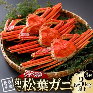 【先行予約】鳥取県産 タグ付き 茹松葉がに 1kg以上×3杯(中村商店)25年12月・26年1月発送【配送不可地域：離島・北海道・沖縄県・東北・信越、北陸】【1692755】