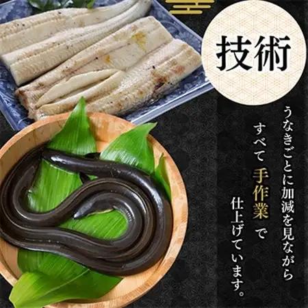 【蒲焼き用タレ付き】浜名湖うなぎ白焼き140g×3尾(冷凍・真空パック)_魚介・海産物 うなぎ  ウナギ 鰻_【配送不可地域：離島】【1497506】
