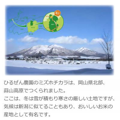 ふるさと納税 真庭市 パン・ピザ用 ミズホチカラ 玄米粉 900g 岡山 蒜山高原 |  | 03