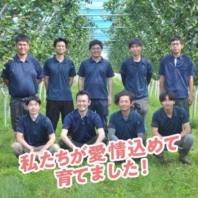 【8月上旬より順次発送予定】茨城県かすみがうら市産梨　品種おまかせ 約10kg【配送不可地域：離島・北海道・沖縄県・中国・四国・九州】