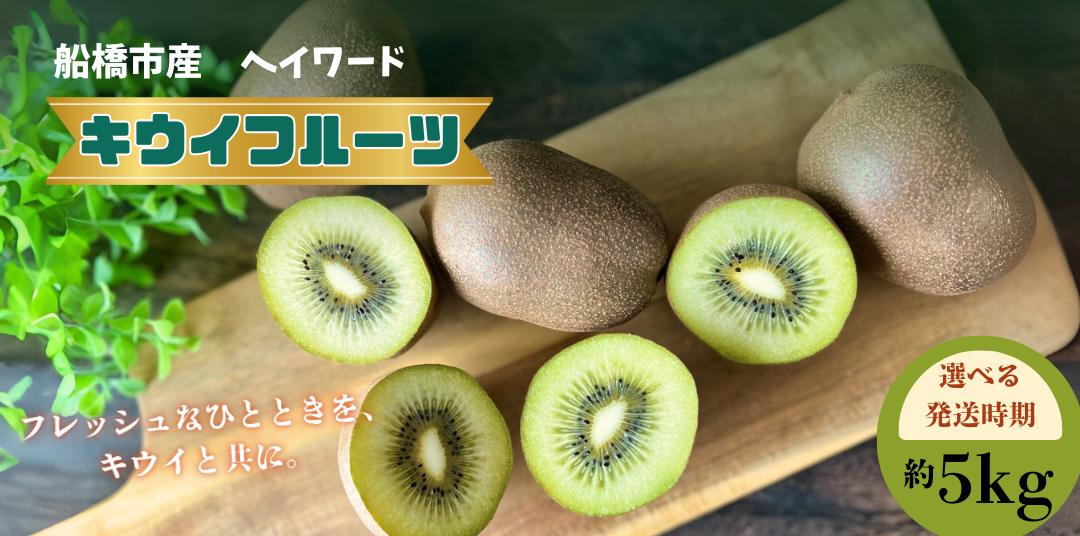 
            【選べる発送時期】キウイフルーツ ヘイワード キウイ 5kg 船橋市産
          