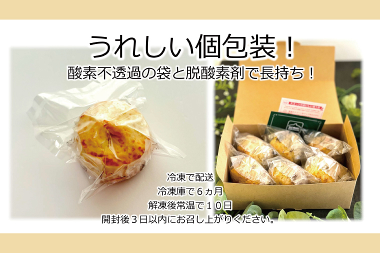 チョコチップスコーン 3個【人気 しっとり 冷凍 冷凍スコーン ミルクチョコレート チョコレート 本場 イギリス 焼き菓子 スイーツ 水戸市 水戸 茨城県 5000円以内】（AR-14）