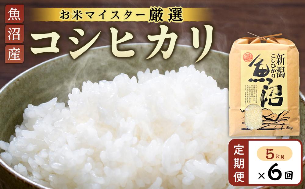 【定期便】【お米マイスター厳選】魚沼産コシヒカリ5Kg×6ヶ月連続お届け