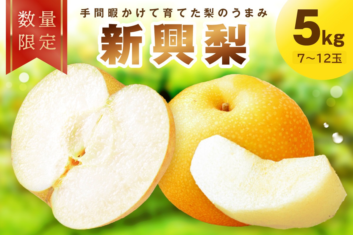 【先行予約／数量限定100】新興梨　5kg（2026年10月中旬～発送）　FK00024