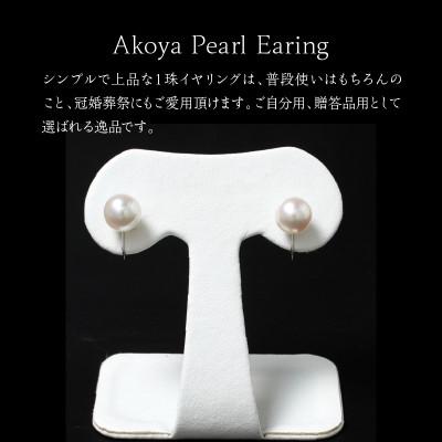 ふるさと納税 延岡市 あこや本真珠 イヤリング 真珠 8.5mm 14Kホワイトゴールド |  | 02