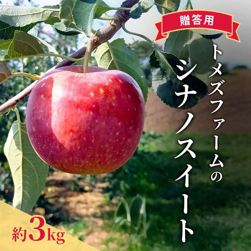 【ふるさと納税】シナノスイート（贈答用） 約3kg（8玉〜12玉入り）トメズファーム　りんご　長野　信州　小諸　果物　フルーツ　お届け：2026年10月上旬より順次発送致します。