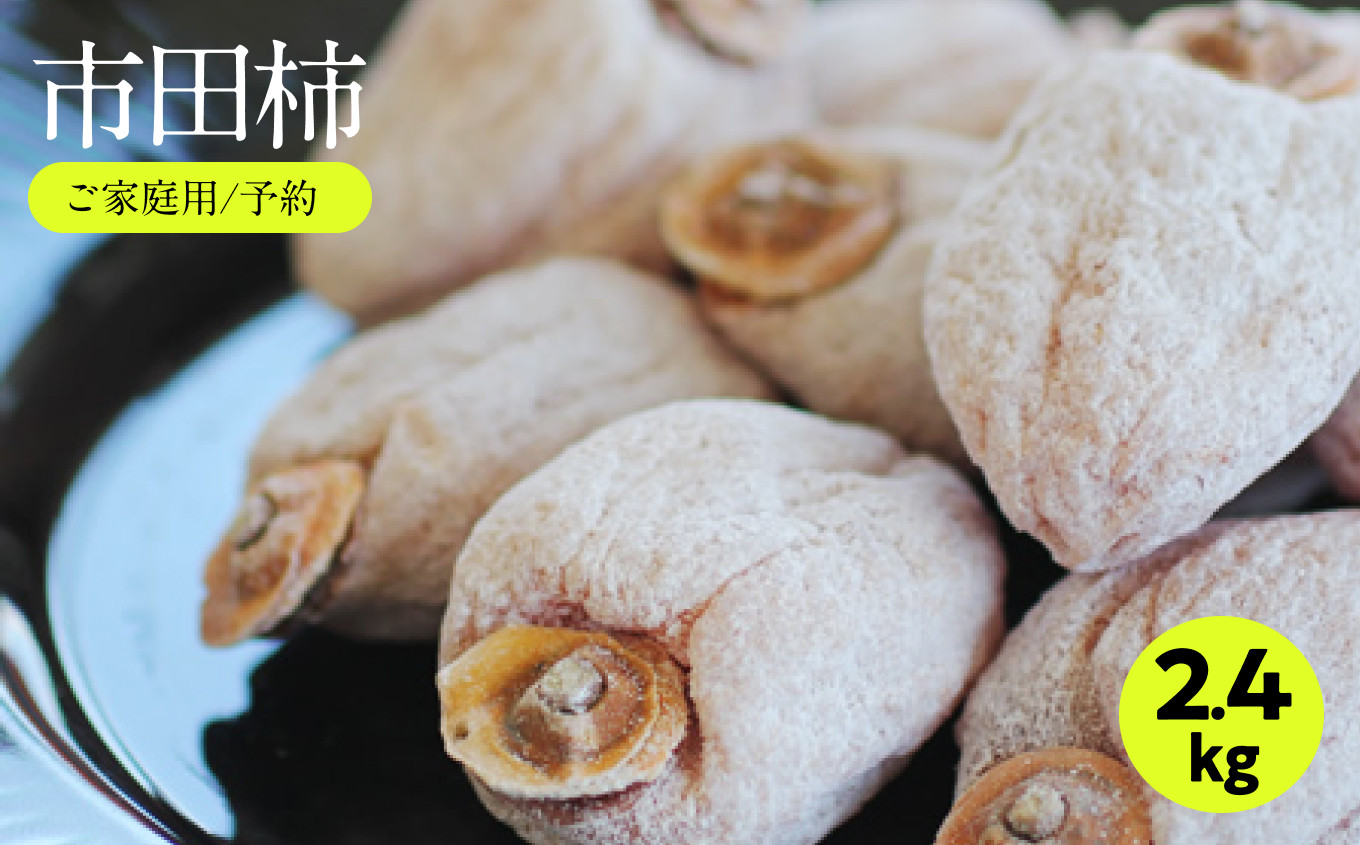 
            信州の特産品「市田柿」ご家庭用 800g×3袋セット 〈2026年1月上旬～2月下旬発送〉 | 果物 くだもの フルーツ 柿 かき 市田柿 長野県 信州 南信州 飯田市
          