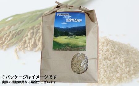 K9【 令和7年産】しそうの おいしい お米 コシヒカリ 玄米 3㎏　【 こしひかり 玄米 兵庫県産 宍粟市産 3Kg 少量 】
