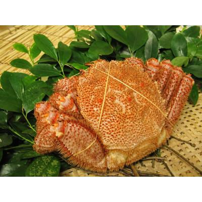 ふるさと納税 厚岸町 【訳あり】3D冷凍毛がに300〜400g×1尾 |  | 01