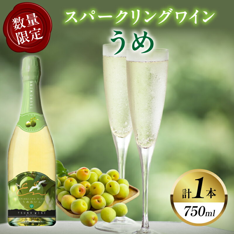 【ふるさと納税】【数量限定】スパークリングワイン うめ 計1本 国産 飲料 酒 アルコール 果実酒 梅 都農ワイン フルーツワイン 甘口 おすすめ 贅沢 ご褒美 家飲み 晩酌 パーティー 記念日 お祝い ギフト 贈答 贈り物 プレゼント 常温 ポリフェノール 宮崎県 都農町 送料無料