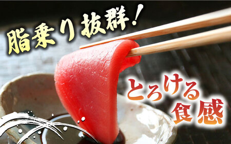 【全3回定期便】対馬産 養殖 本マグロ 4種 （赤身×2/中トロ×2/ネギトロ×2/大トロ×1）《対馬市》【対海】 新鮮 マグロ 鮪 本鮪 赤身 中トロ 大トロ ネギトロ 海鮮 冷凍[WAH006] 