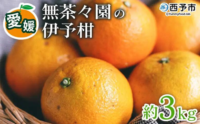 先行予約 ＜無茶々園の伊予柑 約3kg＞ 果物 いよかん イヨカン みかん ミカン 蜜柑 柑橘 フルーツ 選べる内容量 期間限定 季節限定 特産品 愛媛県 西予市【常温】『2027年1月中旬～2月中旬