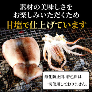 1904R_サイズは不揃いでも味は絶品!肉厚するめ烏賊一夜干し2.4㎏