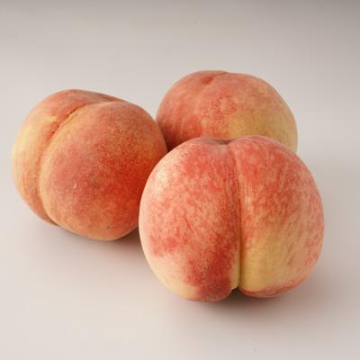 ふるさと納税 三豊市 【発送月固定定期便】三豊市を家族で味わう定番フルーツ全12回 |  | 02