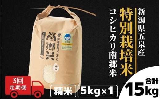 令和7年産 コシヒカリ【定期便 3ヶ月】5kg × 3回 五泉産 南郷米 特別栽培米 | 新潟産コシヒカリ 新潟県産コシヒカリ 新潟県産こしひかり 米 お米 こしひかり 白米 精米 ブランド米 新潟県 五泉市 ファームみなみの郷