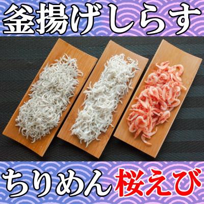 ふるさと納税 牧之原市 しらす屋のおすすめ【しらす 桜えび わかめ しらす佃煮】 |  | 01