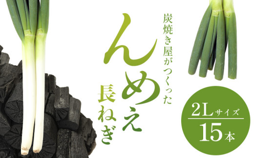 【2026年先行受付分】【ふるさと納税】極太 2Lサイズ 炭焼き屋がつくった んめぇ 長ねぎ 15本 2026年先行予約 七戸宏大 炭焼きの土壌 岩手県 九戸村 野菜 ねぎ ネギ 葱 白ねぎ 太い 甘い 薬味 鍋 焼きねぎ 料理 BBQ 産地直送 旬 新鮮 安心 安全 送料無料 《9月中旬-12月上旬出荷》