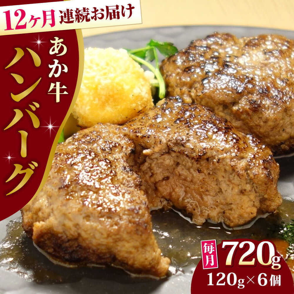 【ふるさと納税】【全12回定期便】あか牛 100％ハンバーグ 約120g×6個【有限会社 三協畜産】[AYCQ085]