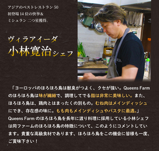 【1261-1】ほろほろ鳥のBBQセット逢母の塩付(1～2人前）