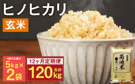 【定期便12ヵ月】熊本県菊池産 ヒノヒカリ 玄米 計120kg（5kg×2袋×12回）米 お米 残留農薬ゼロ 低温貯蔵