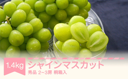 【先行予約】シャインマスカット 秀品 桐箱入り 1.4kg 令和8年産 2026年産 果物 mm-busmk3 ※沖縄・離島への配送不可