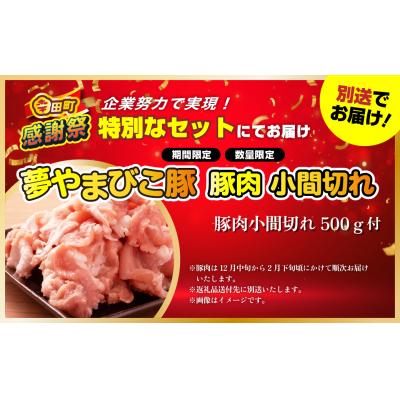 ふるさと納税 幸田町 【期間限定 幸田町大感謝祭】エアウィーヴベッドマットレスS03セミダブル　寄付者様組立 |  | 03