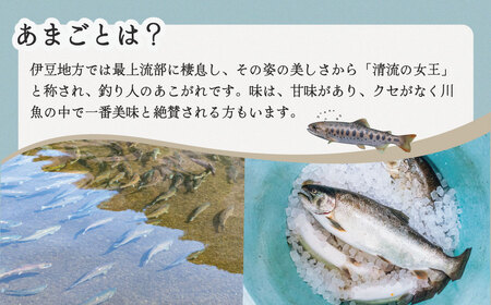 おつまみにどうぞ！紅姫あまごのスモークサーモン（サーモン スモークサーモン 燻製 サーモン お酒 ワイン スモークサーモン 自家燻製 伊豆 薫り高い スモークサーモン サーモンレシピ タンパク質 栄養