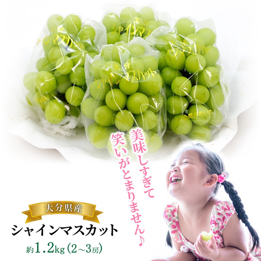 【先行予約】おおいたの豊潤シャインマスカット約1.2㎏_2609R 