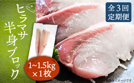 【全3回定期便】ヒラマサフィレ 約1〜1.5kg（半身）《壱岐市》【なかはら】[JDT039] ヒラマサ フィレ 柵 刺身 刺身ブロック 刺し身 切身 冷凍 海鮮 海鮮丼 81000 81000円 冷凍配送